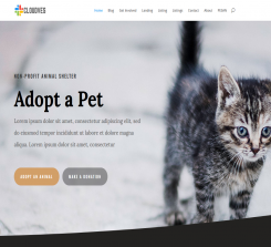 Animal Shelter