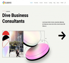 Consultant