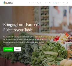 Farmers Market